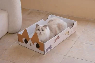 Cat Ears Box design options, cardboard tray