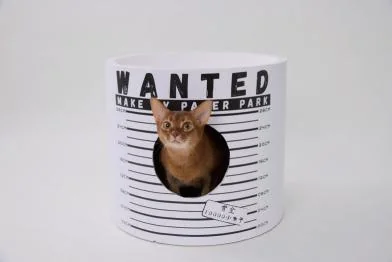 Kitten Jail Bucket design options, printed cardboard barrel