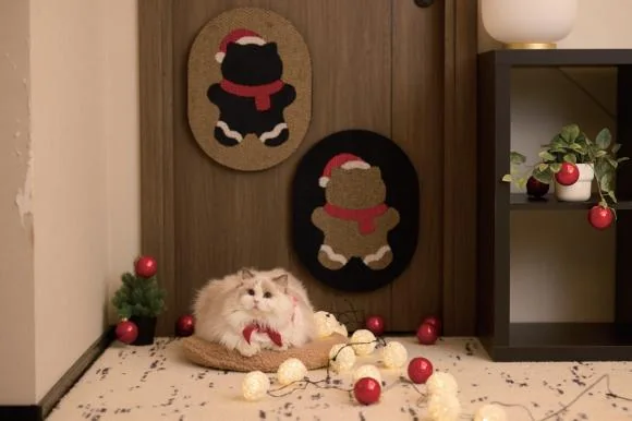 Ginger Cat design options, corrugated paper
