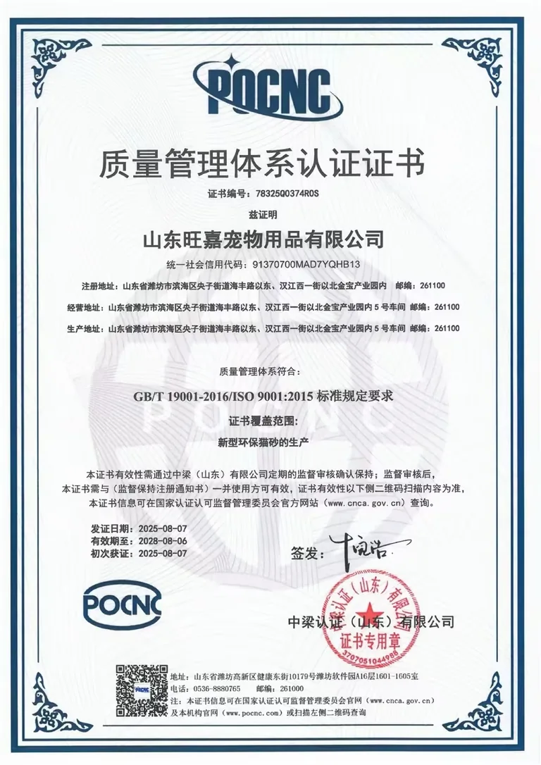 Preview of the supplied wangjia iso9001 cn document; open the original to read its scope