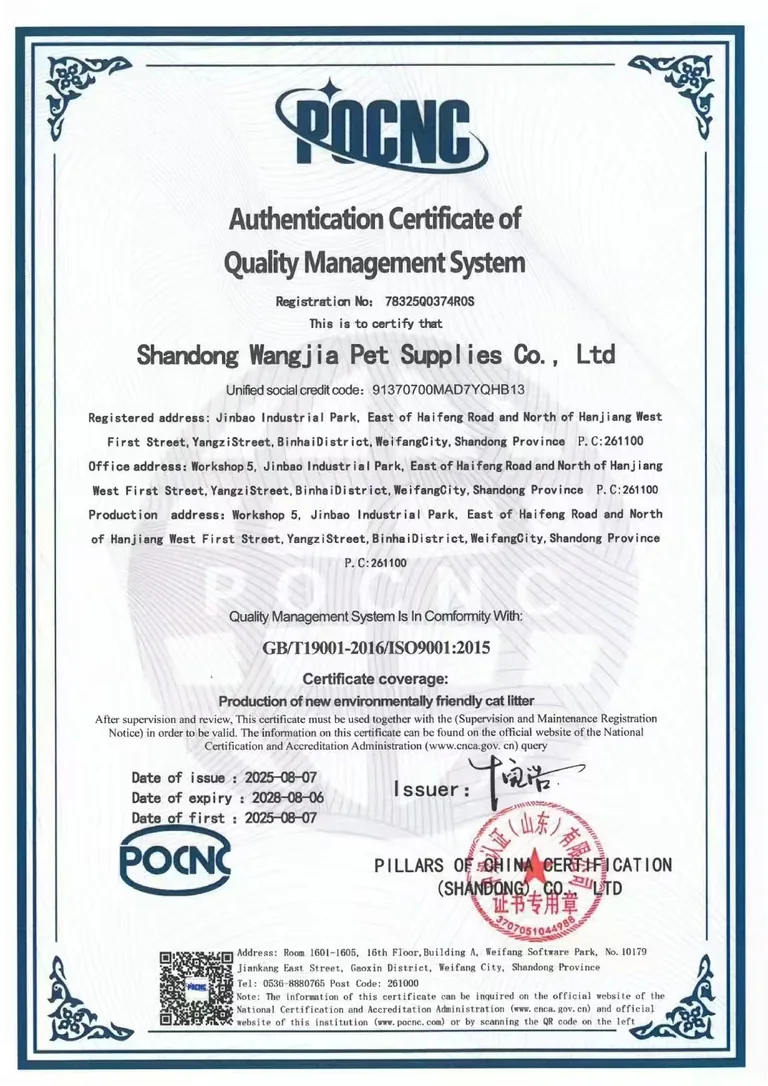 Preview of the supplied wangjia iso9001 en document; open the original to read its scope