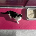 Honeycomb Latex Litter Mat — supplier catalogue product reference